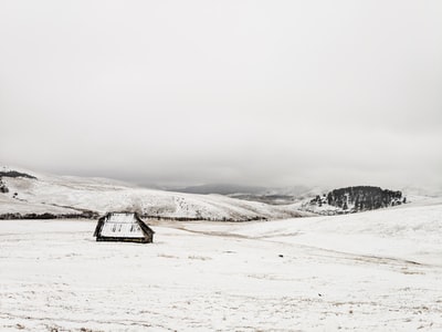 白天有棕色的小屋和雪